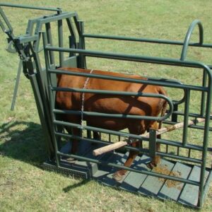 Box Gate for Vet Clamp