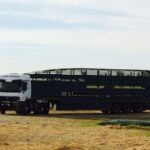 cape eastern livestock tanzania 2015 15