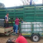 cape eastern livestock tanzania 2015 2