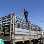 export to kenya 16