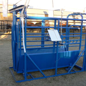 cattle scale