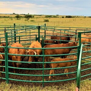 Cattle Force Pen