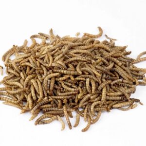 Mealworms Dried 100g