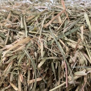 Oat Hay Squares