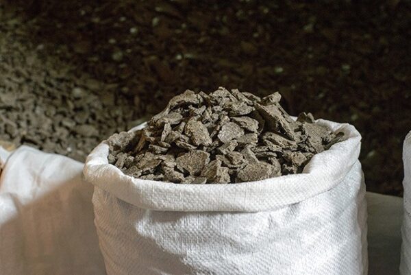 Cotton (IPP)